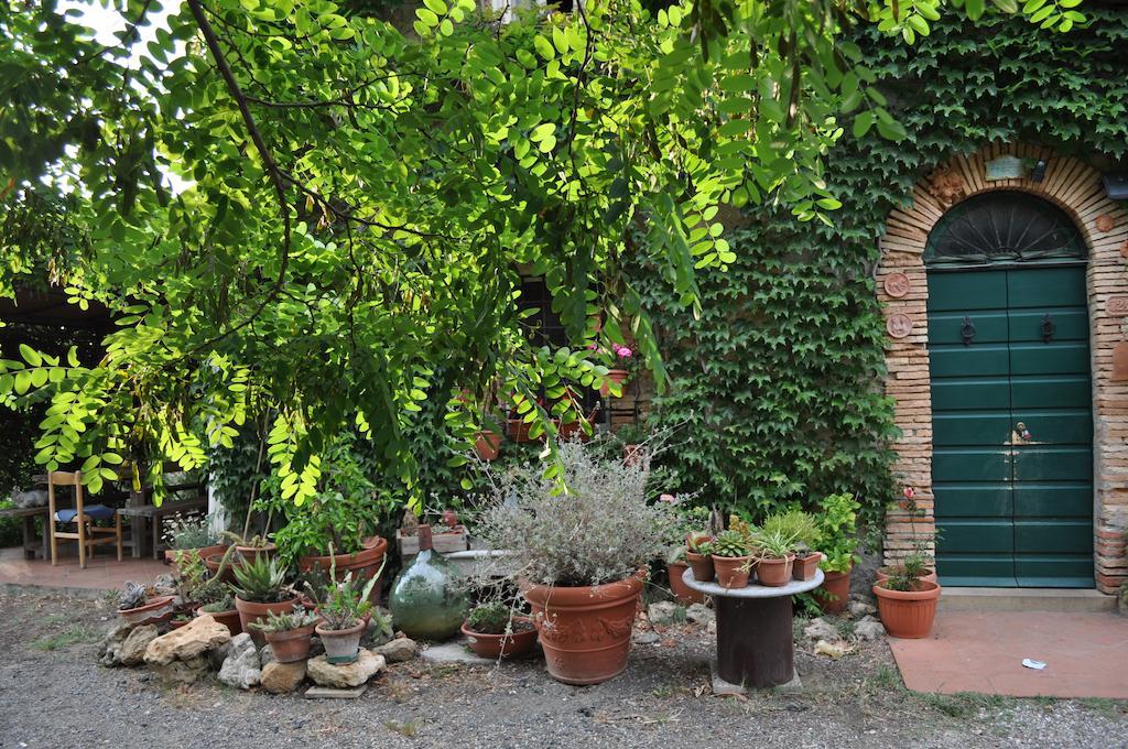 Agriturismo La Leccia Villa Bibbona Exterior foto