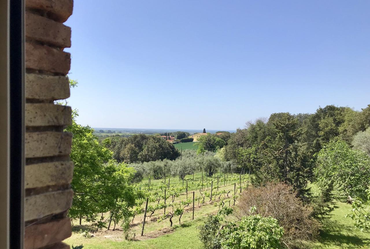 Agriturismo La Leccia Villa Bibbona Exterior foto